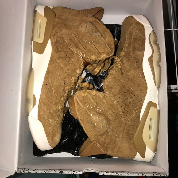 Air Jordan 6